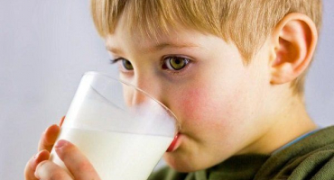 Faktory ovlivňující chuť kravského mléka